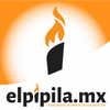 elpipila profile