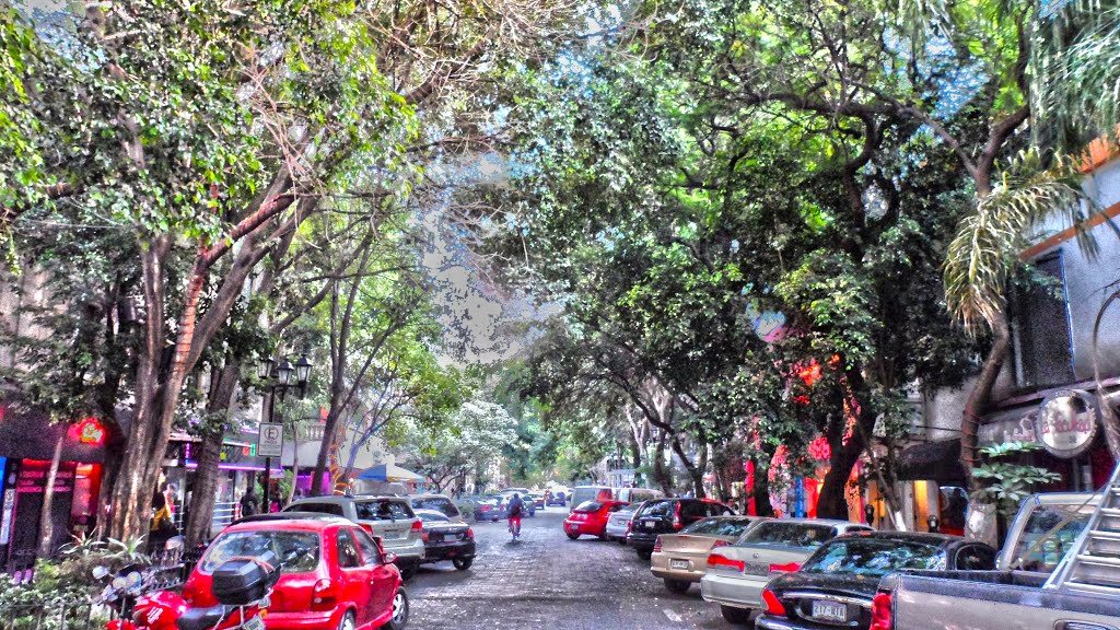 La Calle Amberes en la Zona Rosa es el corazón palpitante de la comunidad gay en la Ciudad de México. Está llena de bares gays y lesbianas