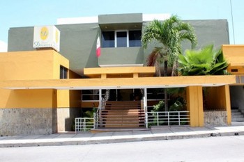 Hotel Dinastia Hotel Dinastia