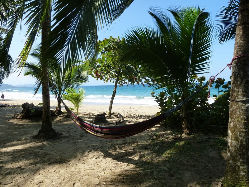 hammock on the beach