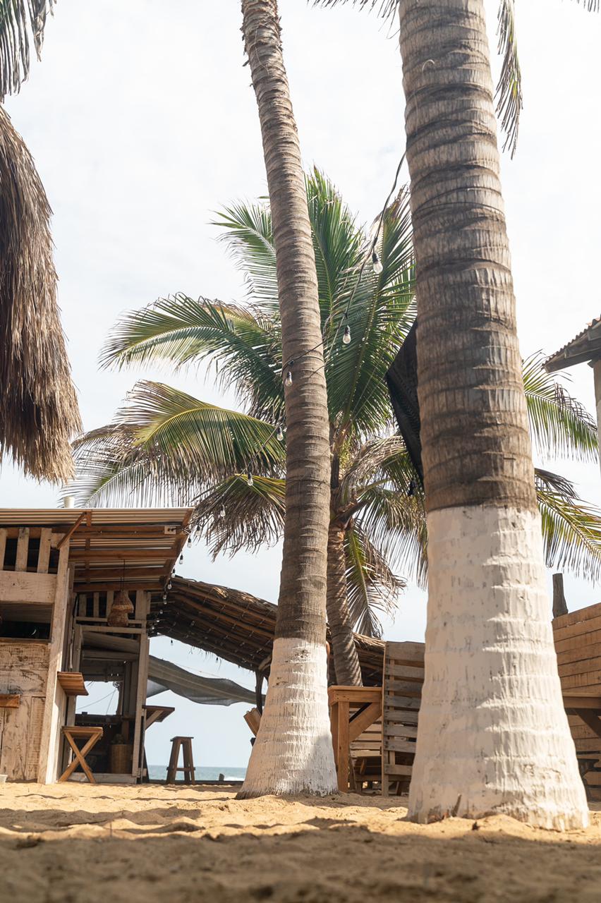 Chiwi's Beach House Zipolite, Oaxaca, México